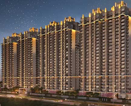 Ace Verde Price List